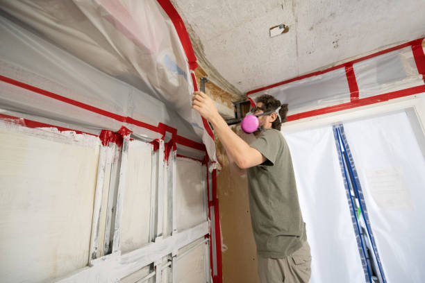 Best Emergency Mold Remediation  in USA